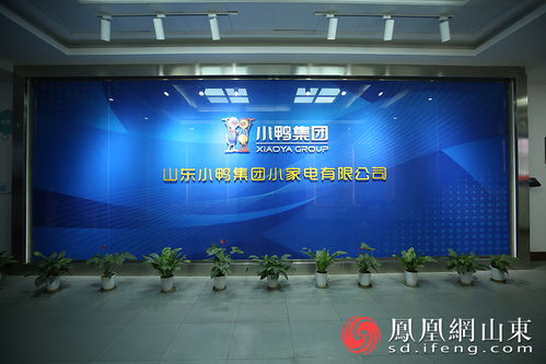 小鴨向新 2021探尋濟南企業高質量發展媒體行 將走進小鴨集團鳳凰網山東 鳳凰網