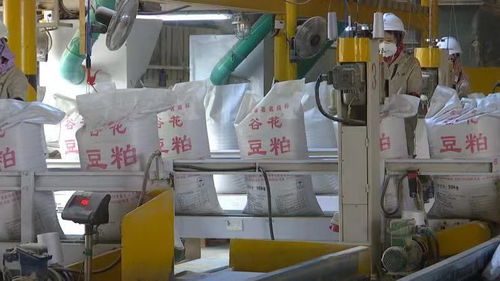 突破20億 漳州港企業(yè)實施技改助推產(chǎn)業(yè)發(fā)展