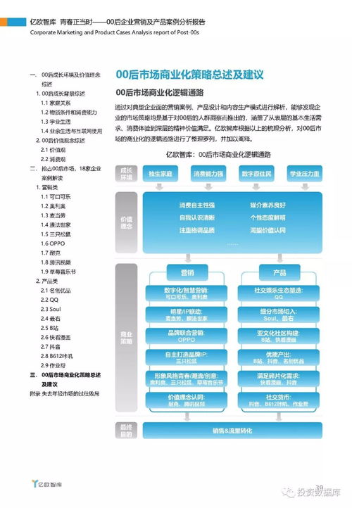億歐智庫 青春正當時 00后企業營銷及產品案例分析報告