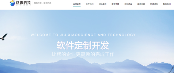 濟南企業網站開發 定制解決方案助您實現數字化轉型